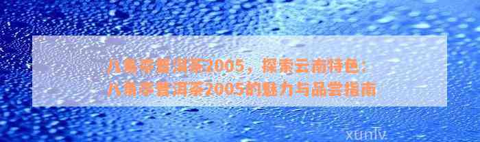 八角亭普洱茶2005，探索云南特色：八角亭普洱茶2005的魅力与品尝指南