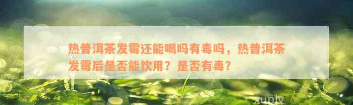 热普洱茶发霉还能喝吗有毒吗，热普洱茶发霉后是否能饮用？是否有毒？