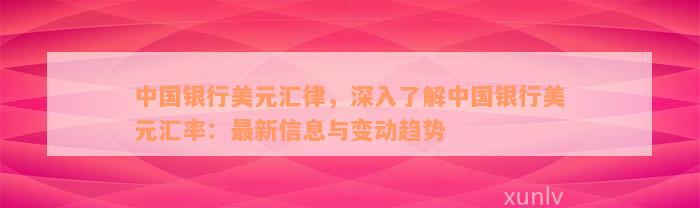 中国银行美元汇律，深入了解中国银行美元汇率：最新信息与变动趋势