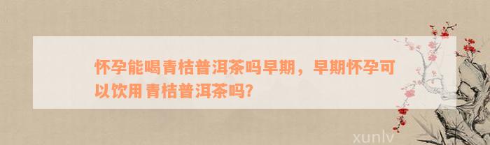 怀孕能喝青桔普洱茶吗早期，早期怀孕可以饮用青桔普洱茶吗？