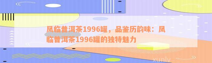 凤临普洱茶1996罐，品鉴历韵味：凤临普洱茶1996罐的独特魅力