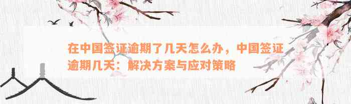 在中国签证逾期了几天怎么办，中国签证逾期几天：解决方案与应对策略