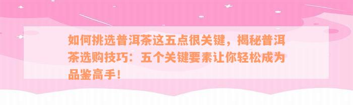 如何挑选普洱茶这五点很关键，揭秘普洱茶选购技巧：五个关键要素让你轻松成为品鉴高手！