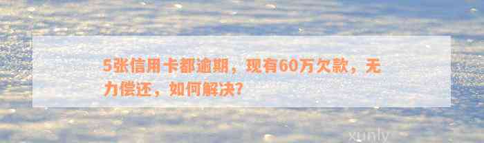 5张信用卡都逾期，现有60万欠款，无力偿还，如何解决？