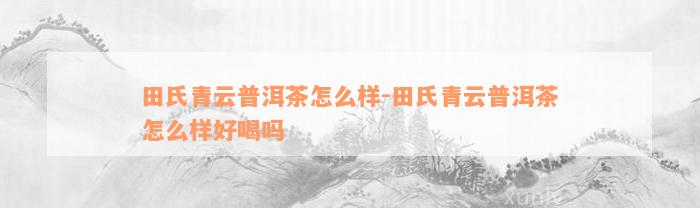 田氏青云普洱茶怎么样-田氏青云普洱茶怎么样好喝吗