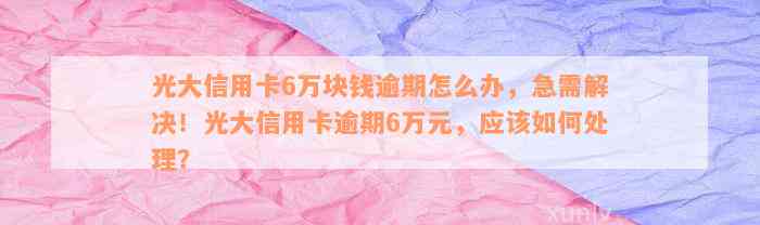 光大信用卡6万块钱逾期怎么办，急需解决！光大信用卡逾期6万元，应该如何处理？