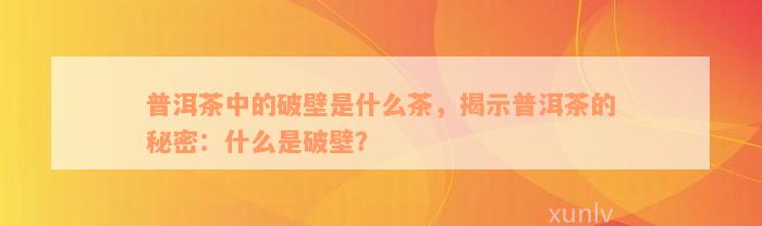 普洱茶中的破壁是什么茶，揭示普洱茶的秘密：什么是破壁？