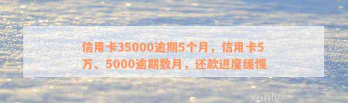 信用卡35000逾期5个月，信用卡5万、5000逾期数月，还款进度缓慢