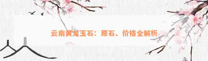 云南黄龙玉石：原石、价格全解析