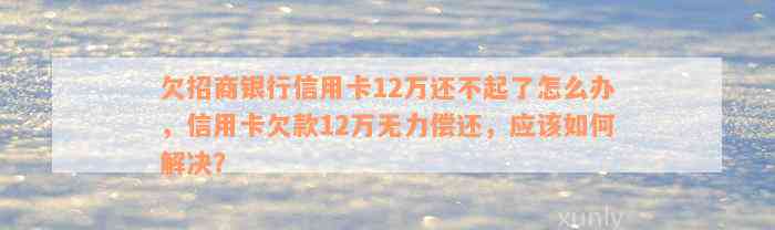 欠招商银行信用卡12万还不起了怎么办，信用卡欠款12万无力偿还，应该如何解决？