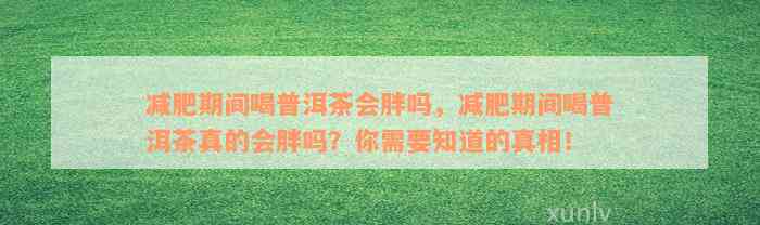 减肥期间喝普洱茶会胖吗，减肥期间喝普洱茶真的会胖吗？你需要知道的真相！