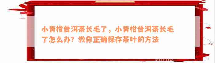 小青柑普洱茶长毛了，小青柑普洱茶长毛了怎么办？教你正确保存茶叶的方法