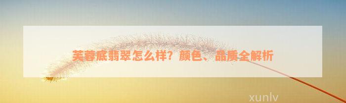 芙蓉底翡翠怎么样？颜色、品质全解析