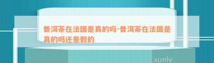 普洱茶在法国是真的吗-普洱茶在法国是真的吗还是假的