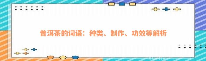 普洱茶的词语：种类、制作、功效等解析