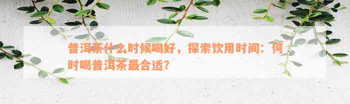 普洱茶什么时候喝好，探索饮用时间：何时喝普洱茶最合适？