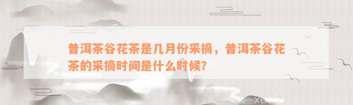 普洱茶谷花茶是几月份采摘，普洱茶谷花茶的采摘时间是什么时候？