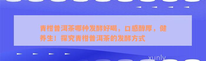 青柑普洱茶哪种发酵好喝，口感醇厚，健养生！探究青柑普洱茶的发酵方式