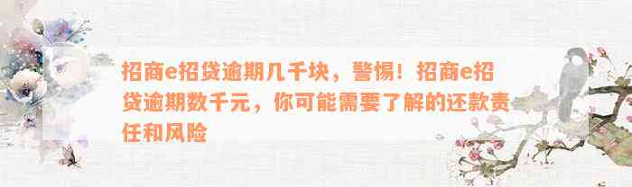 招商e招贷逾期几千块，警惕！招商e招贷逾期数千元，你可能需要了解的还款责任和风险