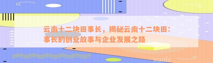 云南十二块田事长，揭秘云南十二块田：事长的创业故事与企业发展之路