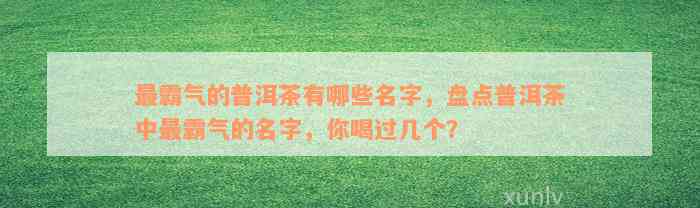 最霸气的普洱茶有哪些名字，盘点普洱茶中最霸气的名字，你喝过几个？