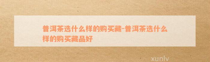 普洱茶选什么样的购买藏-普洱茶选什么样的购买藏品好