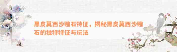 黑皮莫西沙赌石特征，揭秘黑皮莫西沙赌石的独特特征与玩法