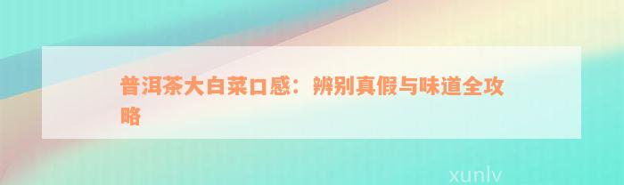 普洱茶大白菜口感：辨别真假与味道全攻略