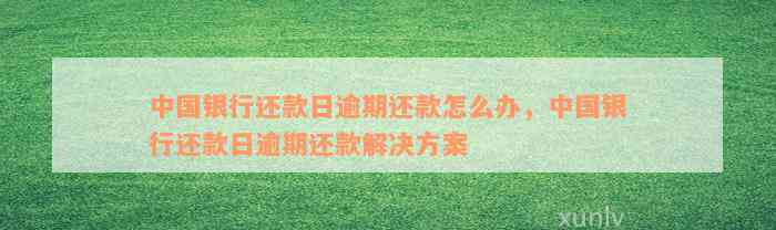 中国银行还款日逾期还款怎么办，中国银行还款日逾期还款解决方案