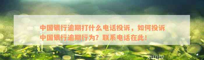 中国银行逾期打什么电话投诉，如何投诉中国银行逾期行为？联系电话在此！