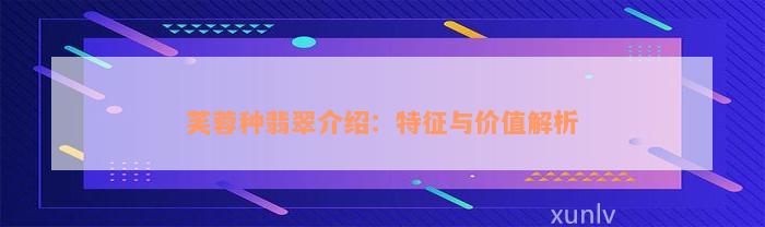 芙蓉种翡翠介绍：特征与价值解析