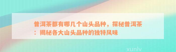 普洱茶都有哪几个山头品种，探秘普洱茶：揭秘各大山头品种的独特风味