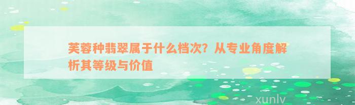 芙蓉种翡翠属于什么档次？从专业角度解析其等级与价值