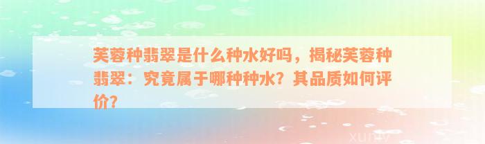 芙蓉种翡翠是什么种水好吗，揭秘芙蓉种翡翠：究竟属于哪种种水？其品质如何评价？