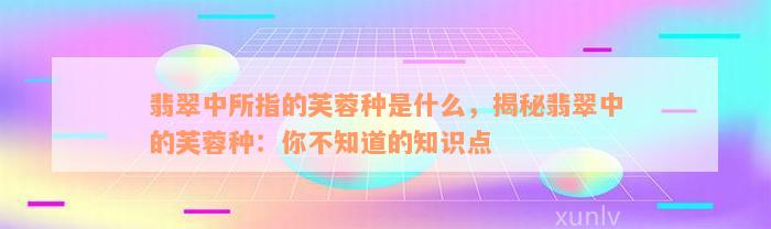 翡翠中所指的芙蓉种是什么，揭秘翡翠中的芙蓉种：你不知道的知识点