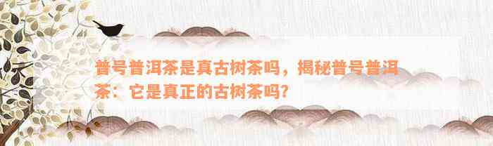 普号普洱茶是真古树茶吗，揭秘普号普洱茶：它是真正的古树茶吗？