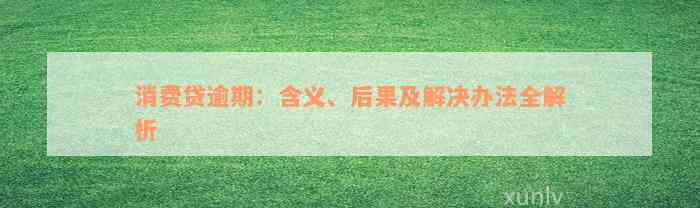 消费贷逾期：含义、后果及解决办法全解析