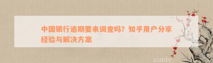 中国银行逾期要来调查吗？知乎用户分享经验与解决方案