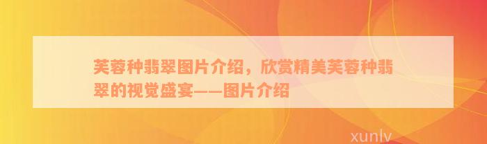 芙蓉种翡翠图片介绍，欣赏精美芙蓉种翡翠的视觉盛宴——图片介绍