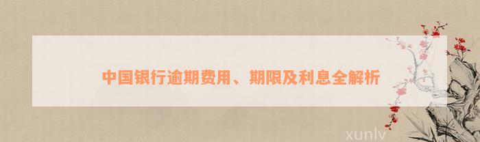 中国银行逾期费用、期限及利息全解析