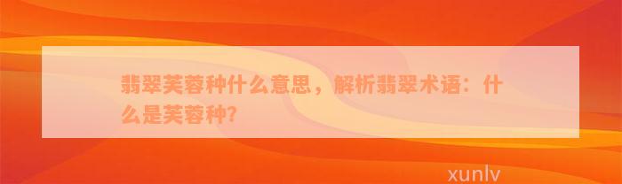 翡翠芙蓉种什么意思，解析翡翠术语：什么是芙蓉种？