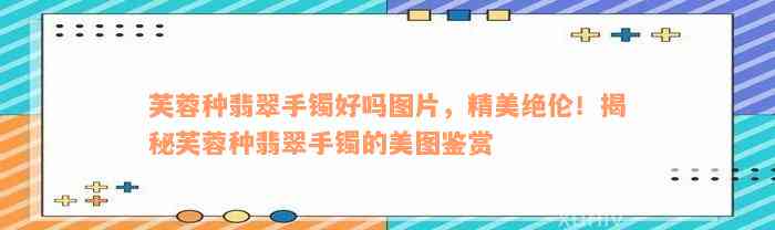 芙蓉种翡翠手镯好吗图片，精美绝伦！揭秘芙蓉种翡翠手镯的美图鉴赏