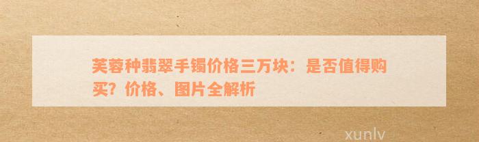 芙蓉种翡翠手镯价格三万块：是否值得购买？价格、图片全解析