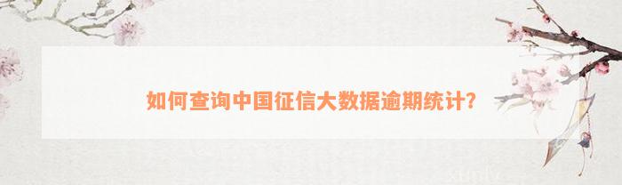 如何查询中国征信大数据逾期统计？