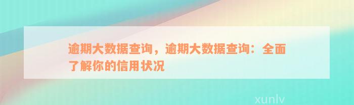 逾期大数据查询，逾期大数据查询：全面了解你的信用状况