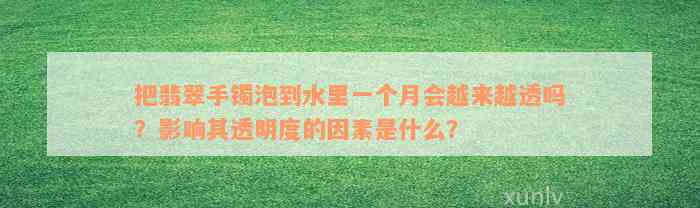 把翡翠手镯泡到水里一个月会越来越透吗？影响其透明度的因素是什么？