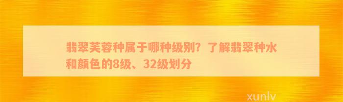 翡翠芙蓉种属于哪种级别？了解翡翠种水和颜色的8级、32级划分