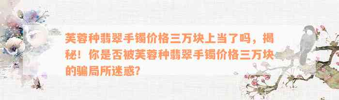 芙蓉种翡翠手镯价格三万块上当了吗，揭秘！你是否被芙蓉种翡翠手镯价格三万块的骗局所迷惑？