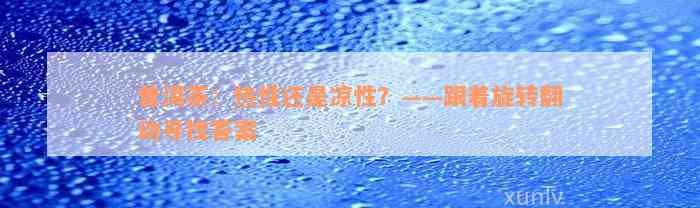 普洱茶：热性还是凉性？——跟着旋转翻动寻找答案