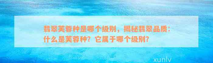 翡翠芙蓉种是哪个级别，揭秘翡翠品质：什么是芙蓉种？它属于哪个级别？